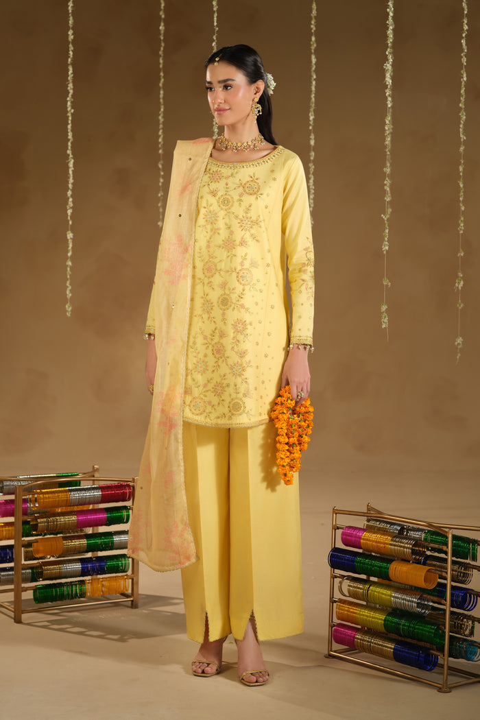 full view of Aahal 3 piece dress showing clean shirt fall and airy cotton net dupatta