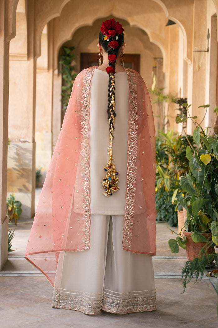 Back view of Ablaaj skin organza luxury pret outfit with carrot organza dupatta and flared pants