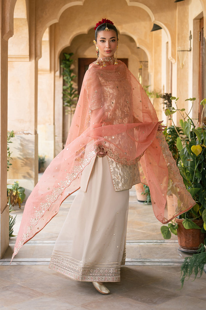 Ablaaj semi formal outfit with skin organza embroidered shirt, flared pants and carrot organza dupatta