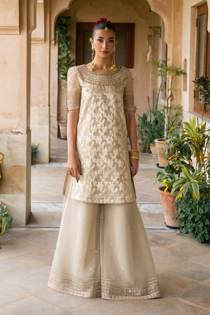 Ablaaj skin organza festive dress with embroidered straight shirt and flared organza pants