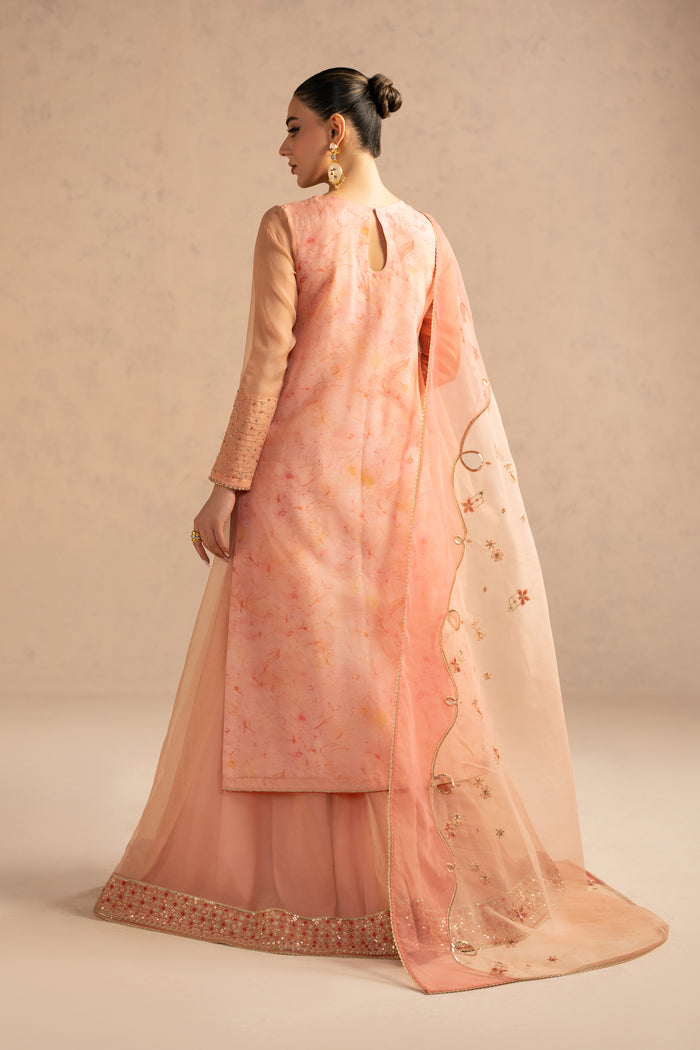 Back view of Aysun suit highlighting flowing organza dupatta and sharara flare, stitched semi formal eastern outfit for events.