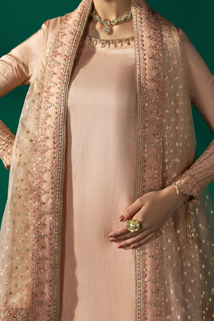 Close-up of Azba showing the handworked boat neckline, embroidered side panel, sequins and detailed Organza Barosha dupatta.