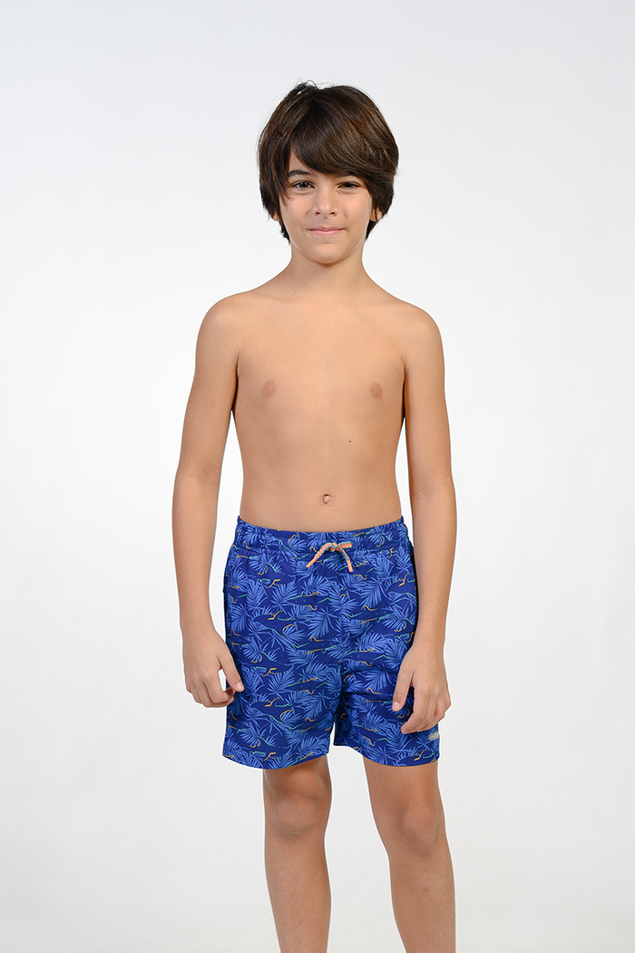 2T / Swimming with Sharks
