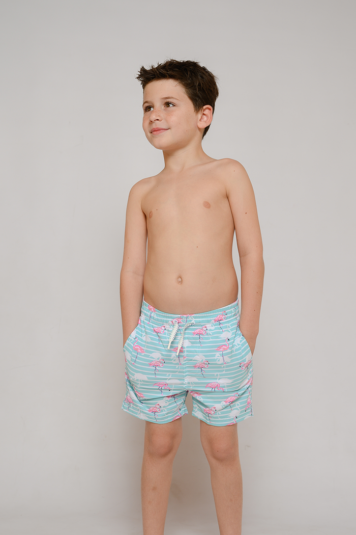 2T / Stripe Flamingos