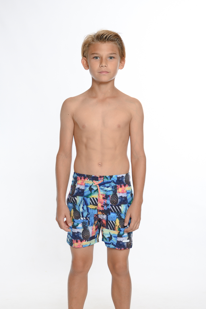 2T / Sea Turtles
