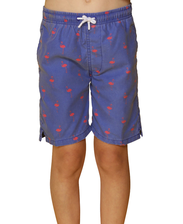 2T / Navy Flamingo
