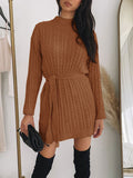 Casual Solid Color Round Neck Wool Dress