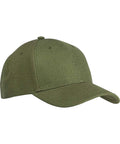 variant:Olive:collection-default