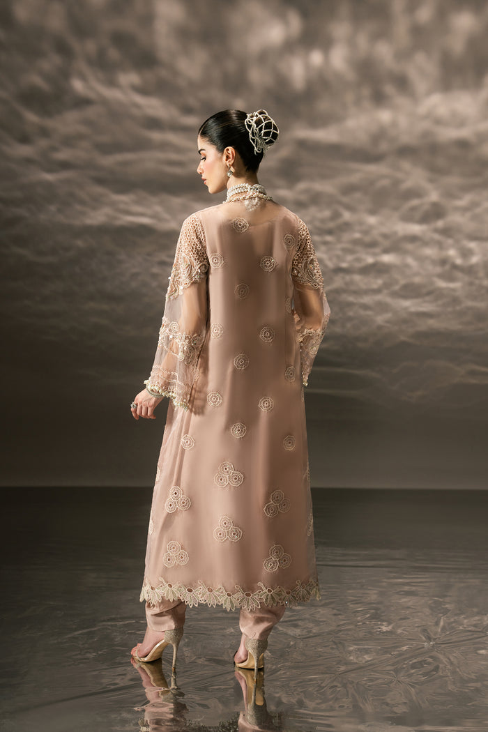 Back view of Farfalle light peach Organza gown showing the long flowing silhouette and embroidered sleeve detailing.