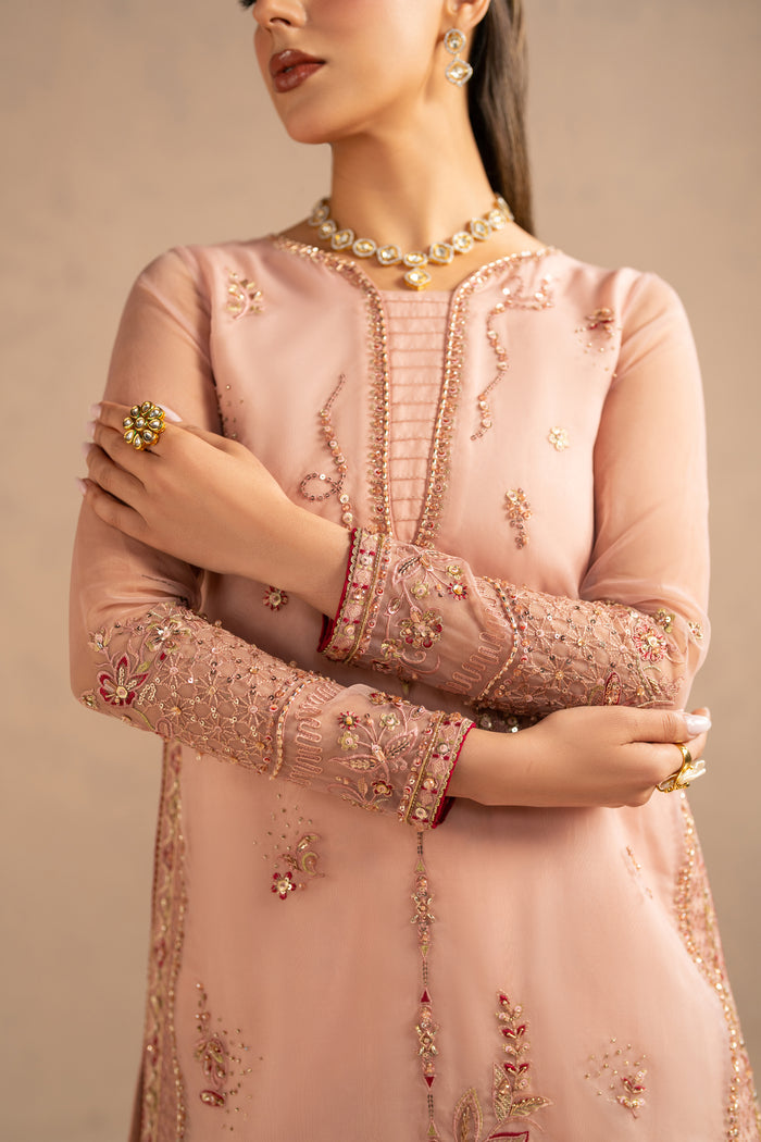 Close view focusing on sleeve embroidery, trim borders and handwork finish.