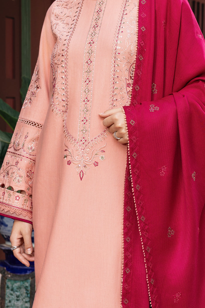 Pink and red embroidered traditional outfit with a blurred background.
