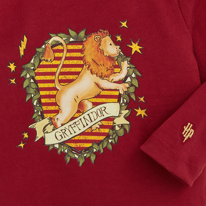 Close up image of a Gryffindor house crest print with a lion and gold stars, by Magnetic Me for Warner Brothers.