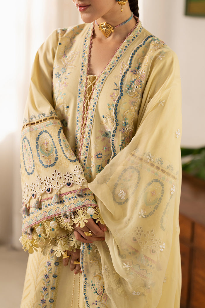 Close-up of Nashiman embroidered lawn shirt highlighting embroidered pati neckline, intricate border work and sleeve detailing