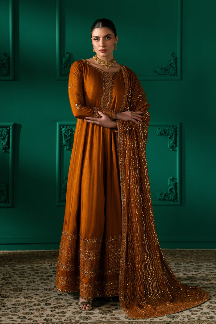 Nislihan rust 3-piece semi-formal outfit with Indian Raw Silk panelled frock, straight PK Raw Silk trouser and embroidered Net dupatta in a full front view.