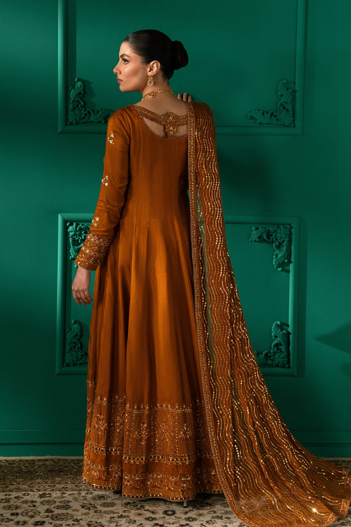 Back three-quarter view of Nislihan showing the rust panelled frock, styled back neckline and flowing embroidered Net dupatta.