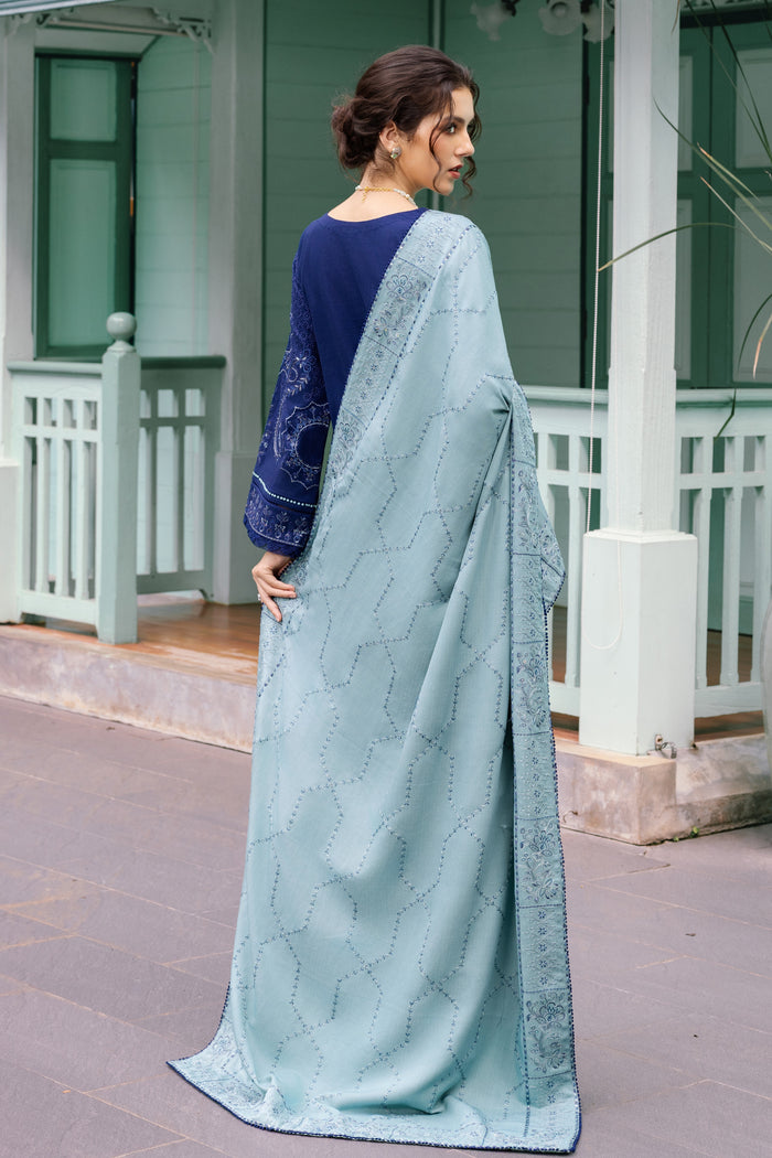 Woman wearing a light blue saree with a dark blue blouse in front of a building.