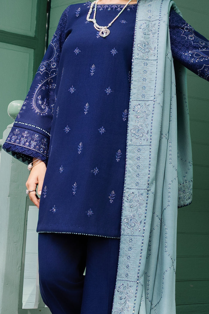 Navy blue embroidered outfit with a light blue dupatta against a green door background.