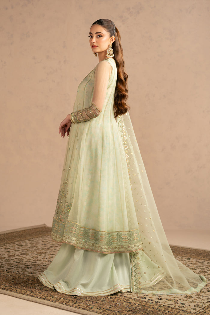 Front standing view showing wide flared frock fall with bordered hem and neat neckline detailing, elegant festive wear.
