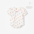Teddy Bear Double Layered Collar Bubble