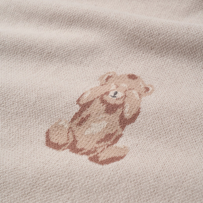 Teddy Bear Knit Baby Blanket