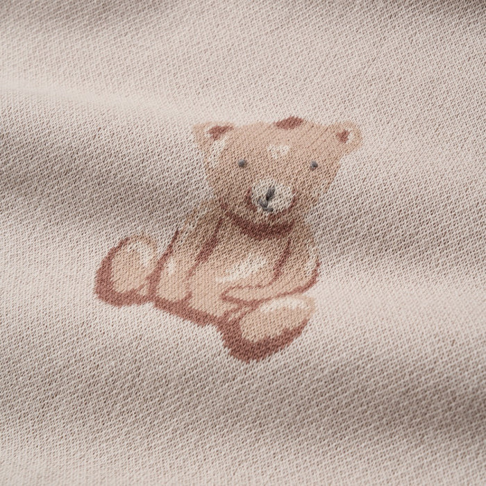 Teddy Bear Knit Baby Blanket