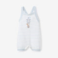 Up & Away Stripe Knit Overall