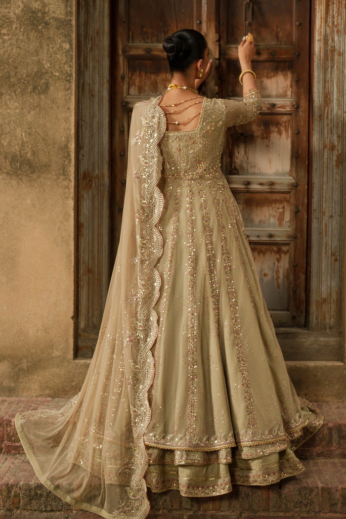 Yunra sand brown evening maxi back view showing slightly sheer Net bodice and layered skirt.