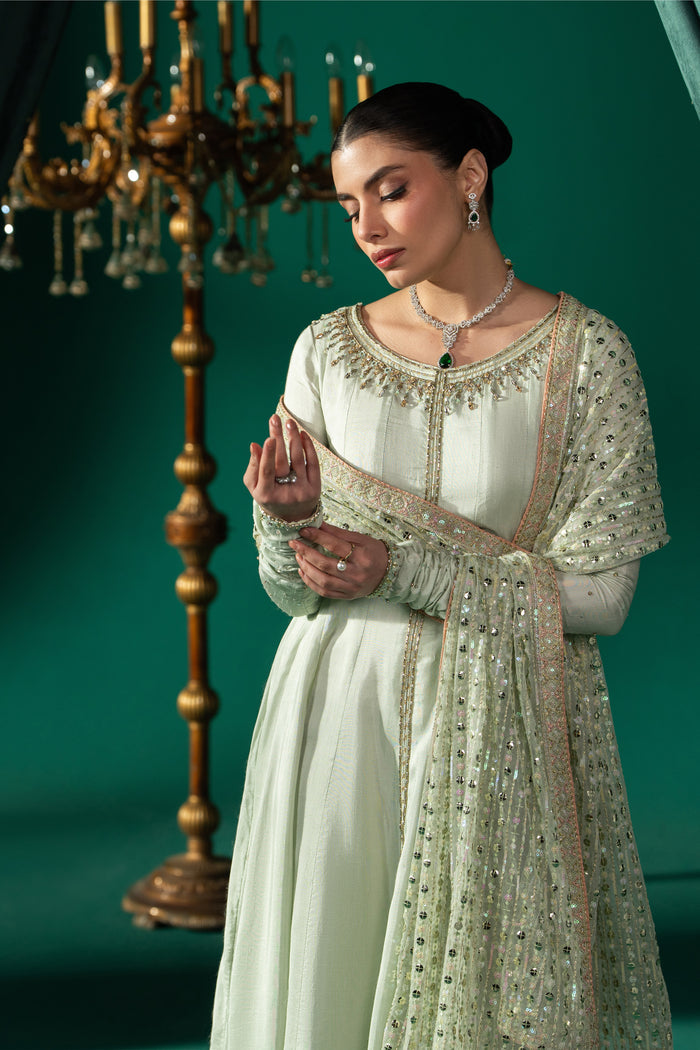 Three-quarter view of Zarqand showing the pistachio panelled frock, boat neckline, embroidered sleeves and draped Net dupatta.