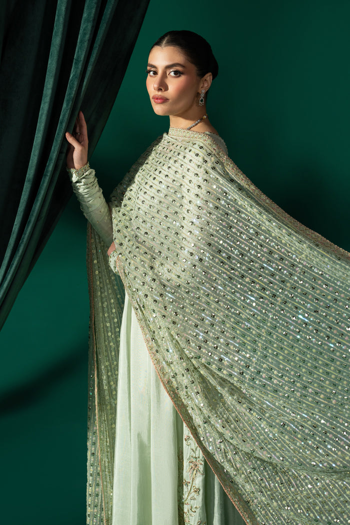 Zarqand pistachio outfit with the embroidered Net dupatta spread open, showing its all-over embroidery, sequins and narrow border.