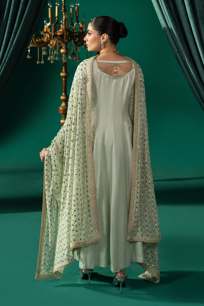 Back view of Zarqand showing the styled back neckline, hanging detail, flowing panelled frock and embroidered Net dupatta.