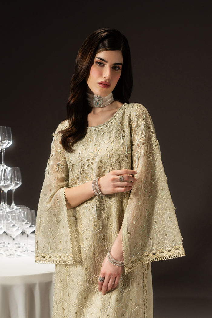 Mid-length view of Zivah showing the boat neckline, 3D floral detailing, pearl hangings and lace-edged sleeves.